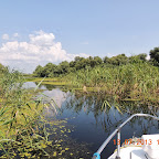 DSCN3064.JPG