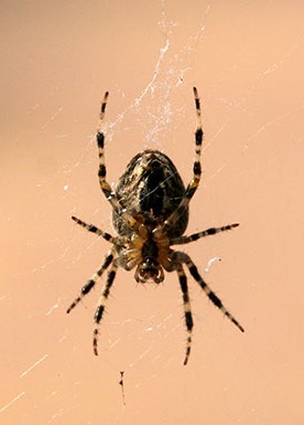 [IMG_5527%255B9%255D.jpg]