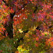 DSCF0715.jpg