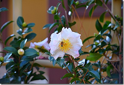 DSC_0317 DSC_0317