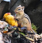 DSC_1841.JPG