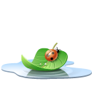 poolleaf poolleaf