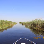 IMG_5707.JPG
