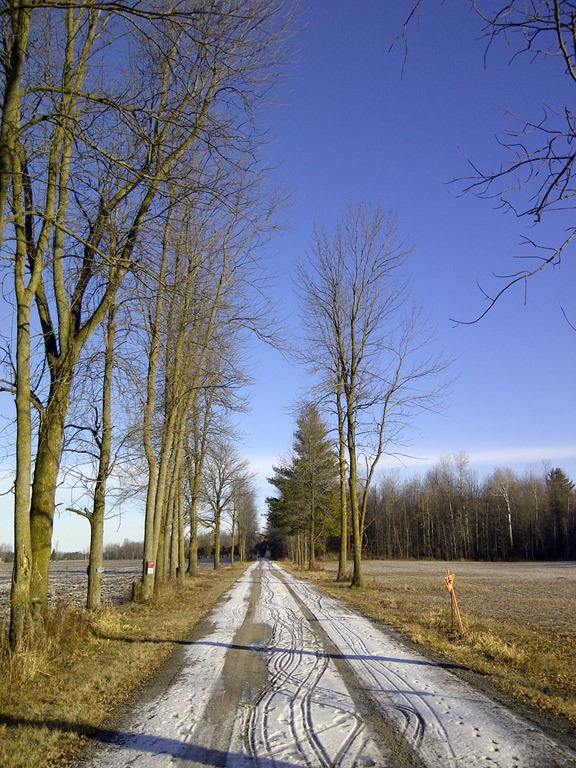 [IMG-20121220-00587%255B5%255D.jpg]