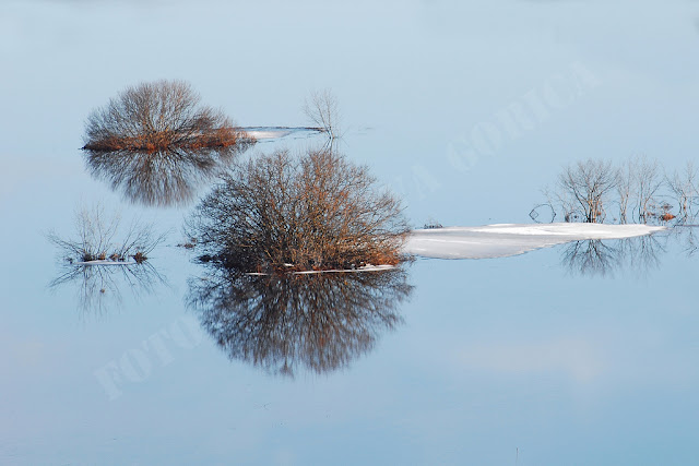 Prosta_D_Bogdan Kralj_Slovo zime.jpg