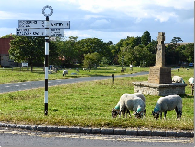 goathland 084