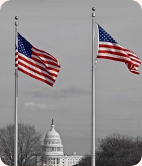 flags_at_capital