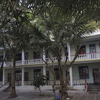 DSC_8243.jpg