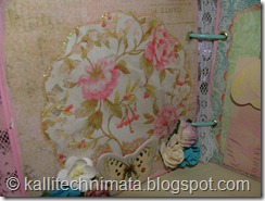 DSCF4250 DSCF4250