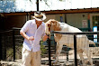 Afc Adam Lyons Pickup Artist In Zoo 1