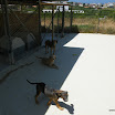 Kreta-07-2012-265.JPG