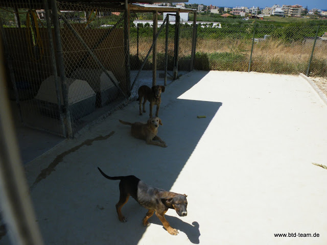 Kreta-07-2012-265.JPG