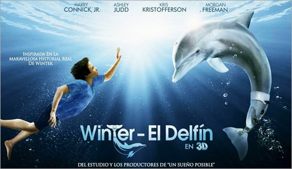 winter-el-delfin