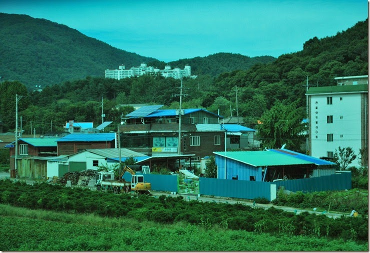 DSC_0685 DSC_0685