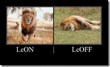 leon leon