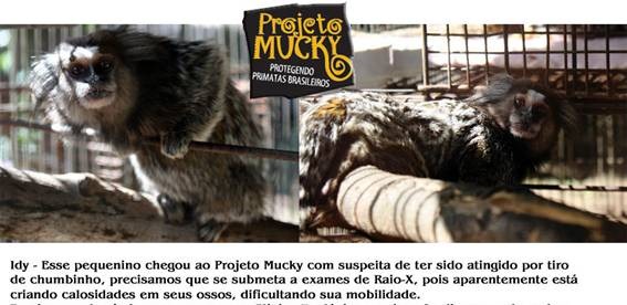 [clip_image002%255B4%255D.jpg]