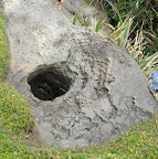 Tasman Shore