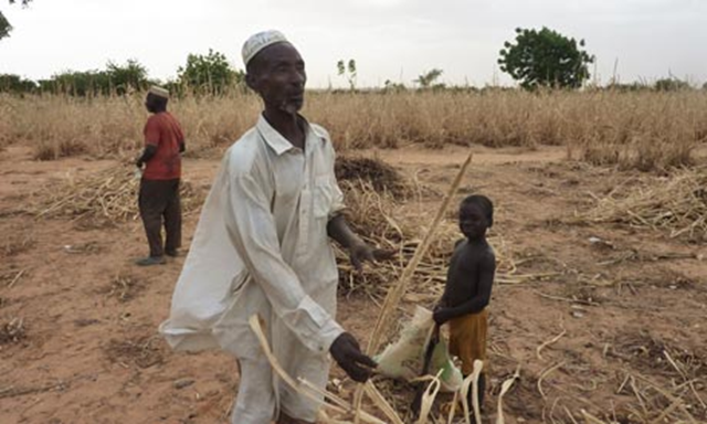 A man from Niger in his ravaged field due to lack of rain in 2011. Boureima Hama / AFP