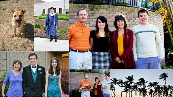 brownie diaries: 2012 highlights.