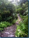 Valley of flowers route path