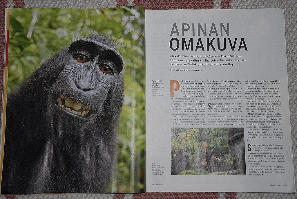 [apinan oma kuva 003[6].jpg]