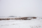 Die Beek im Winter