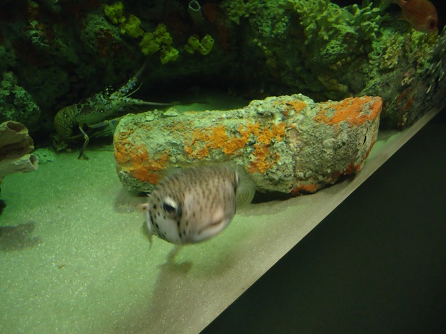 [DSC09637%255B2%255D.jpg]