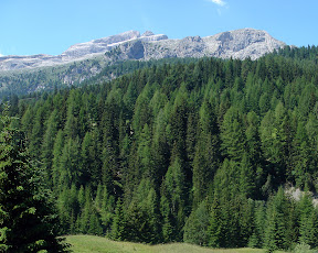 El Sella desde la subida al Campolongo