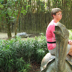 Turtle at Singapore Zoo