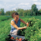 Bio-Ferme Laval