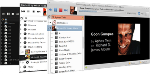 Xnoise Linux