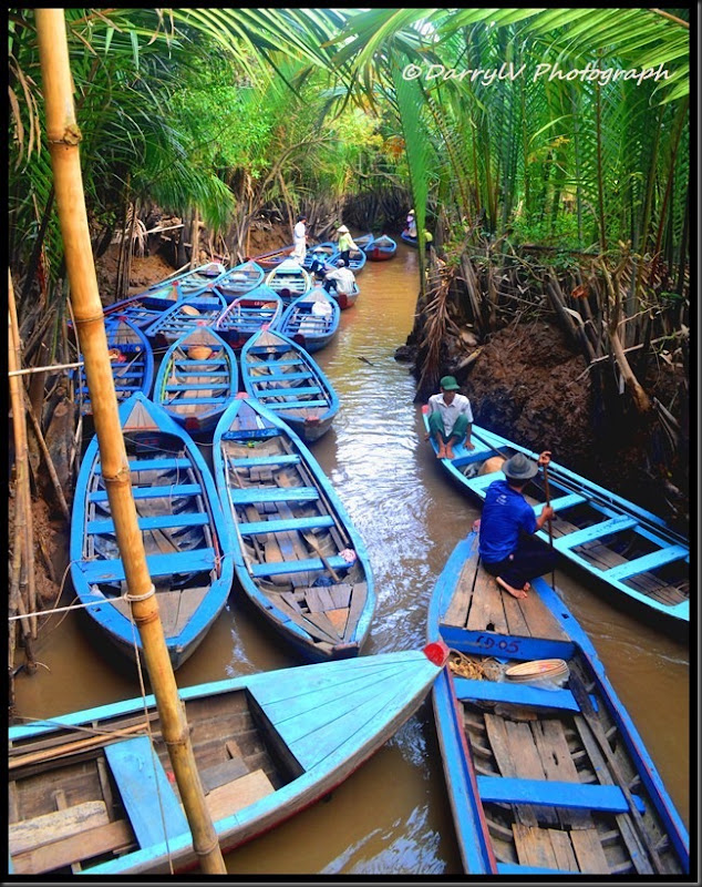 Antri di Delta Mekong