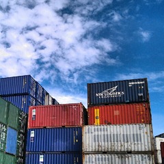 exploring the docks