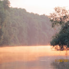 IMG_7197.JPG