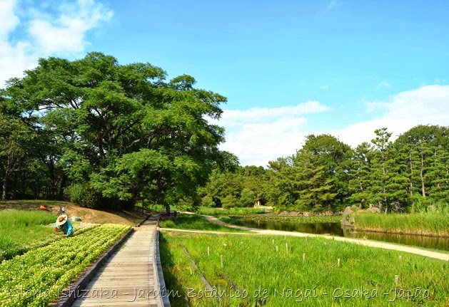 Glória Ishizaka - Jardim Botânico Nagai - Osaka 21