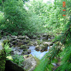 DSC02493.JPG