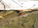 burnt-lake-7.jpg
