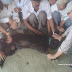 Community Livestock Assistant Training-1.jpg