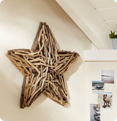 driftwood star