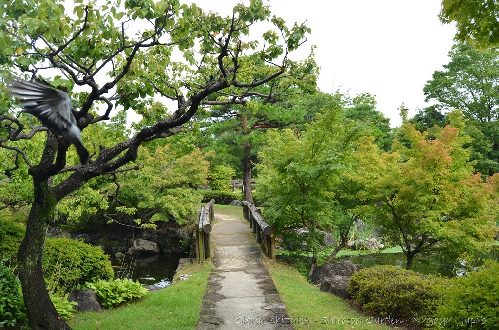 [15---Glria-Ishizaka---Shirotori-Gard%255B2%255D.jpg]