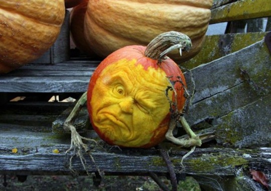 [awesome%2520pumpkin%2520carving%252026%255B2%255D.jpg]