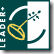 mini-logo_leader 