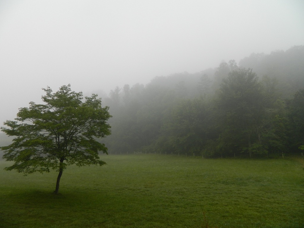 [DSCN01505.jpg]