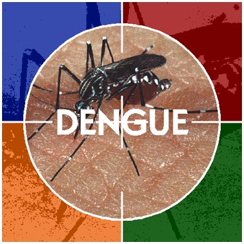[Dengue_0%255B4%255D.jpg]