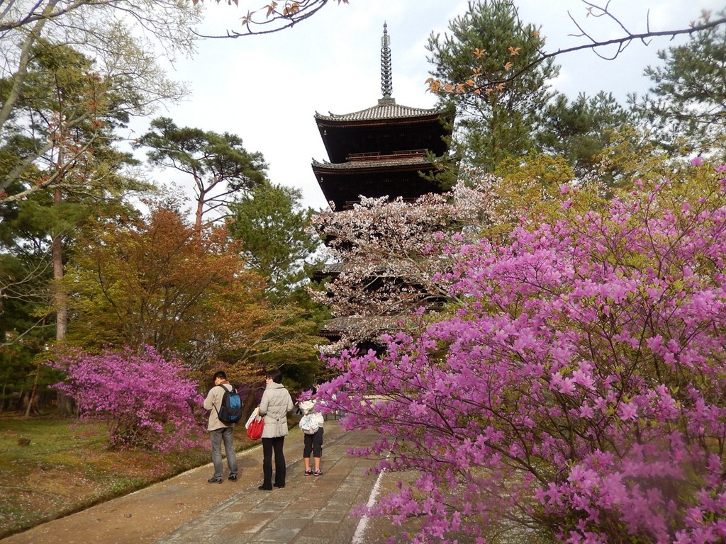 [2013OsakaTrip_Day3_49%255B5%255D.jpg]