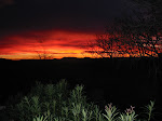 Coucher de soleil au Barry