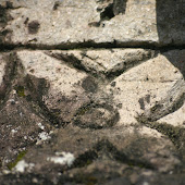 Ornament In Waruga Discover Sulawesi