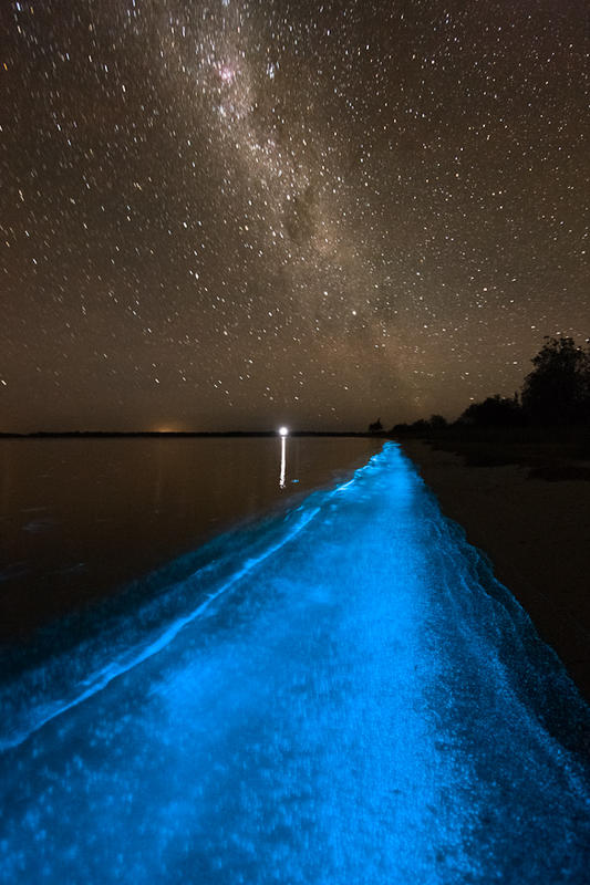 Hồ Gippsland (Úc) với làn nước phát ánh sáng xanh kỳ ảo Bioluminescence4