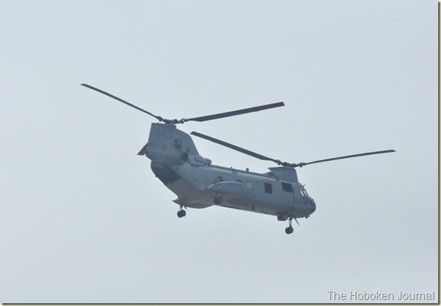 DSC_0703 DSC_0703