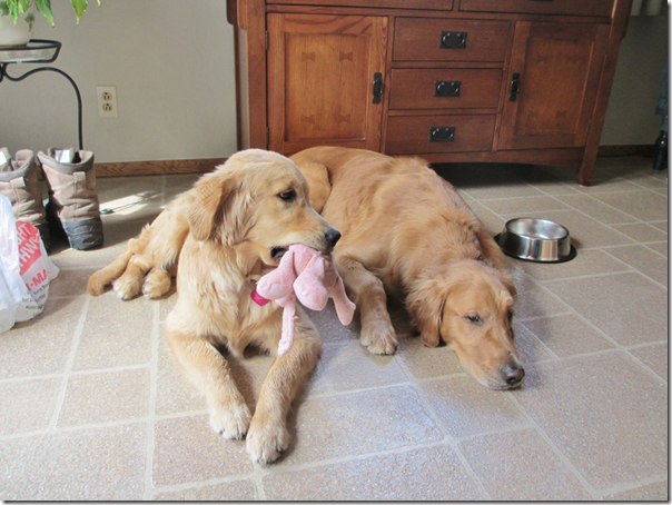 Sleepy2 Sleepy2